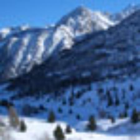De Bourgondier