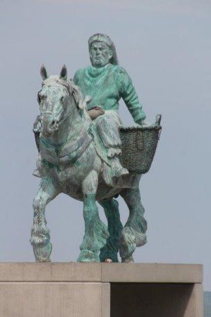 Garnaalvissers