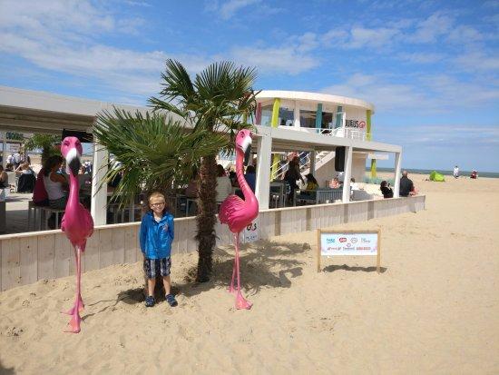 Q Beach House