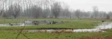 Natuurreservaat De Assebroekse Meersen