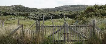 Paelsteenpanne