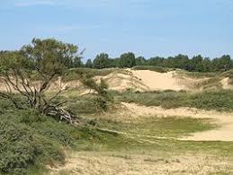 het Doornpanne Natuurreservaat