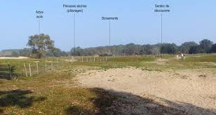 Dune fossile de Ghyvelde