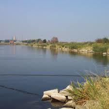 Koolhofput