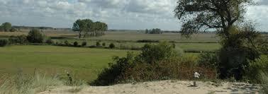 Oosthoekduinen