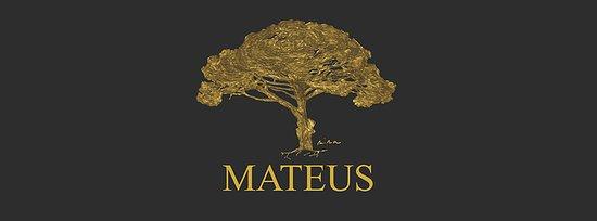 Mateus Pereira