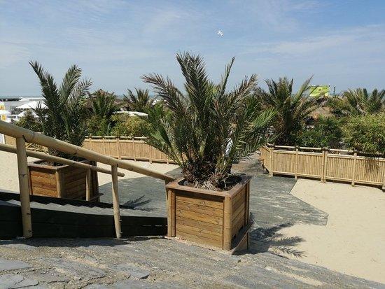 Bamboo Beach