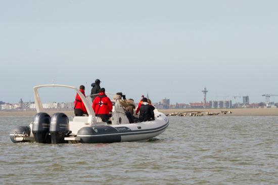 Knokke Boat Duinbergen