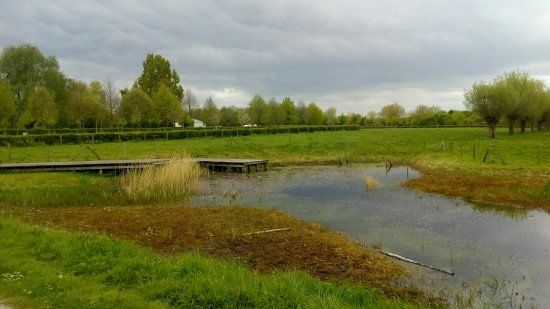 het Provinciaal domein Bergelen