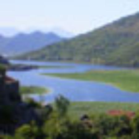Baldus