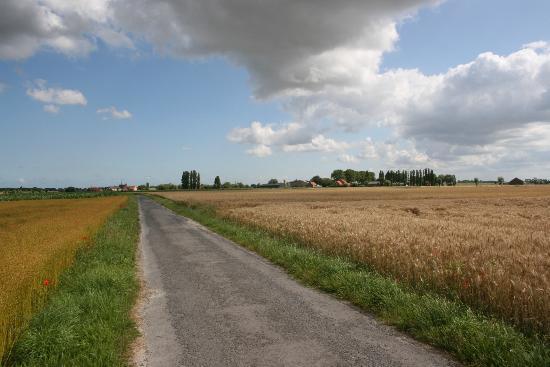 't Groot Moerhof