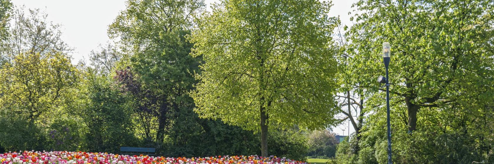 Koning Albertpark